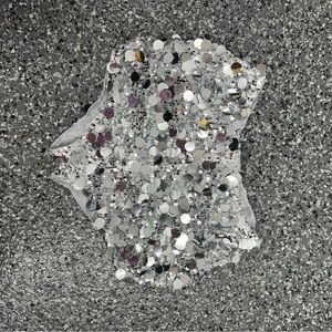 Silver Sequin Embellished Shorts